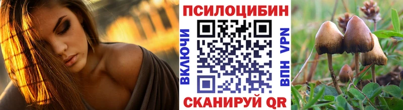 хочу наркоту  Губаха  Галлюциногенные грибы Psilocybine cubensis 